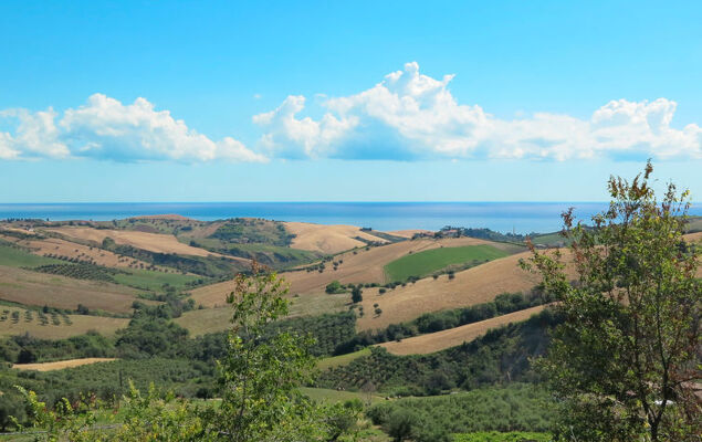 Roseto Apartments Trilo 1 - Photo 14