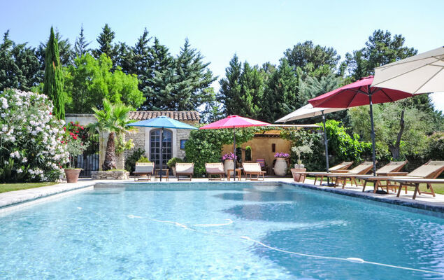 L'Olivier - Photo 46