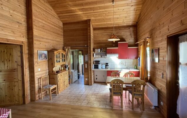 Löwenzahn - Photo 2