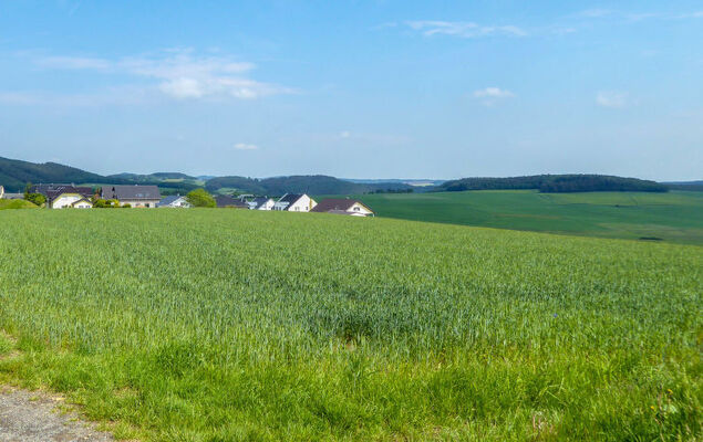 Löwenzahn - Photo 24