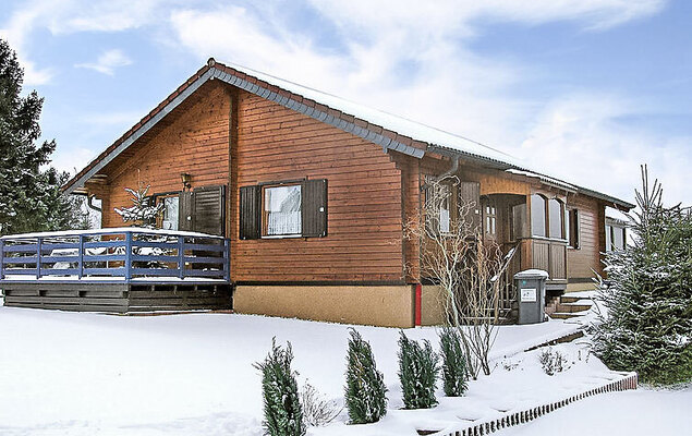 Löwenzahn - Photo 25