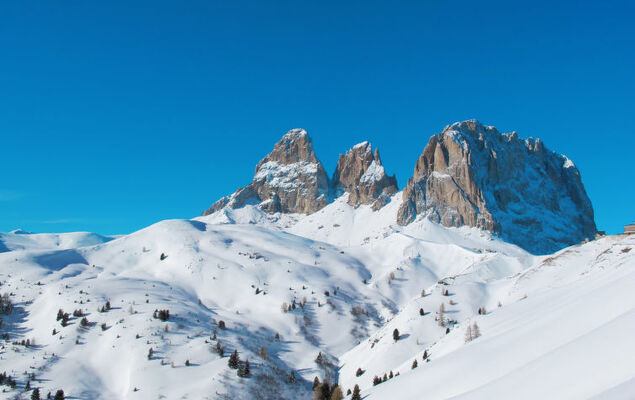 Cesa Galadriel - Photo 42