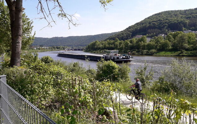 Tiny Haus Altmühlblick II - Photo 16