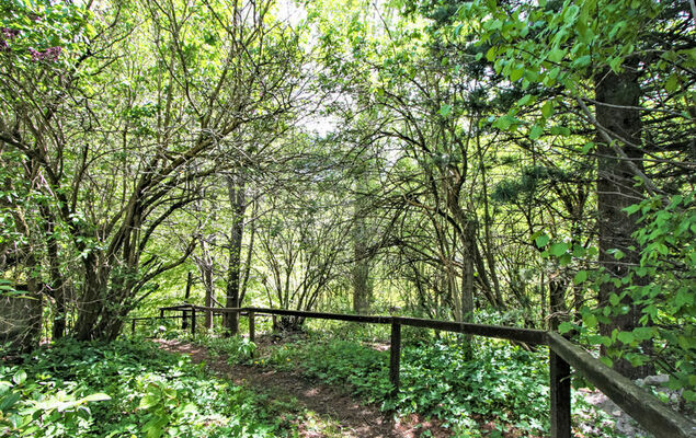 s`Hüttl reloaded - Photo 19