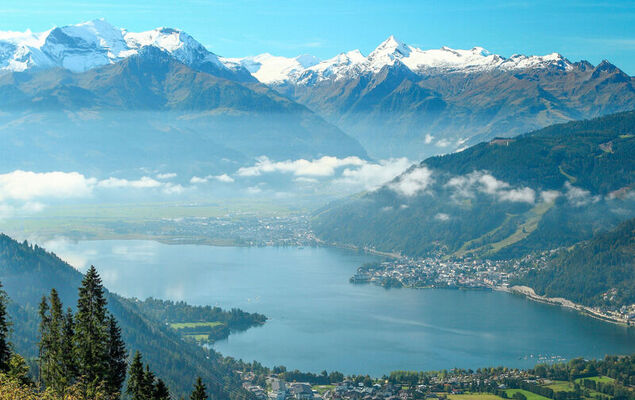 Dr.Steiner - Photo 30