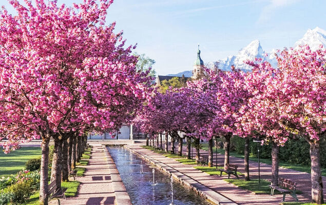 Am Obersalzberg - Photo 38